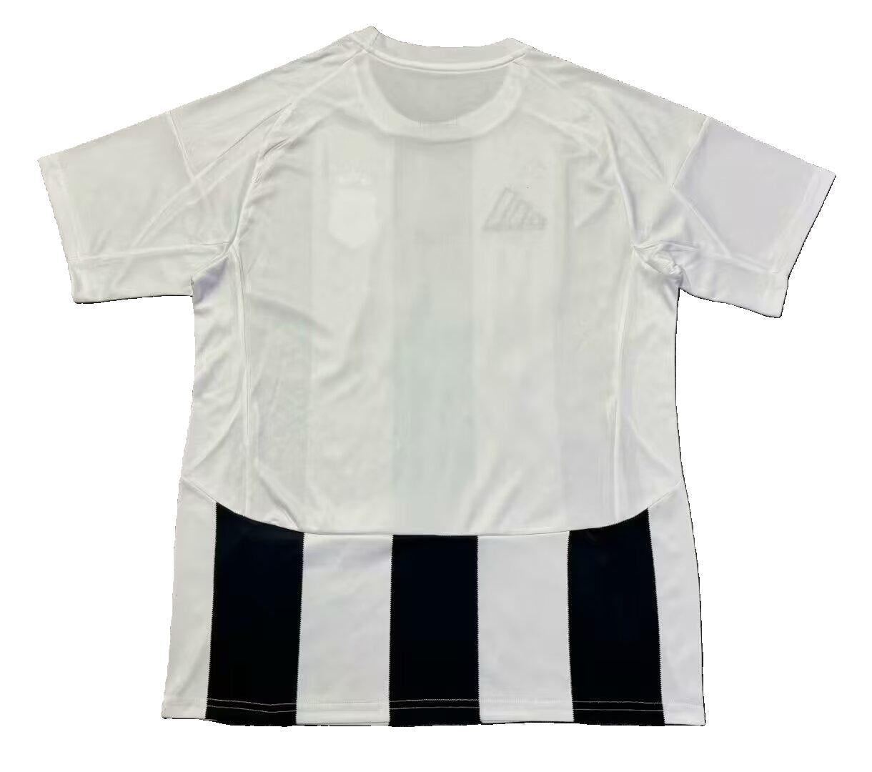 Maillot Domicile Besiktas 2024-2025