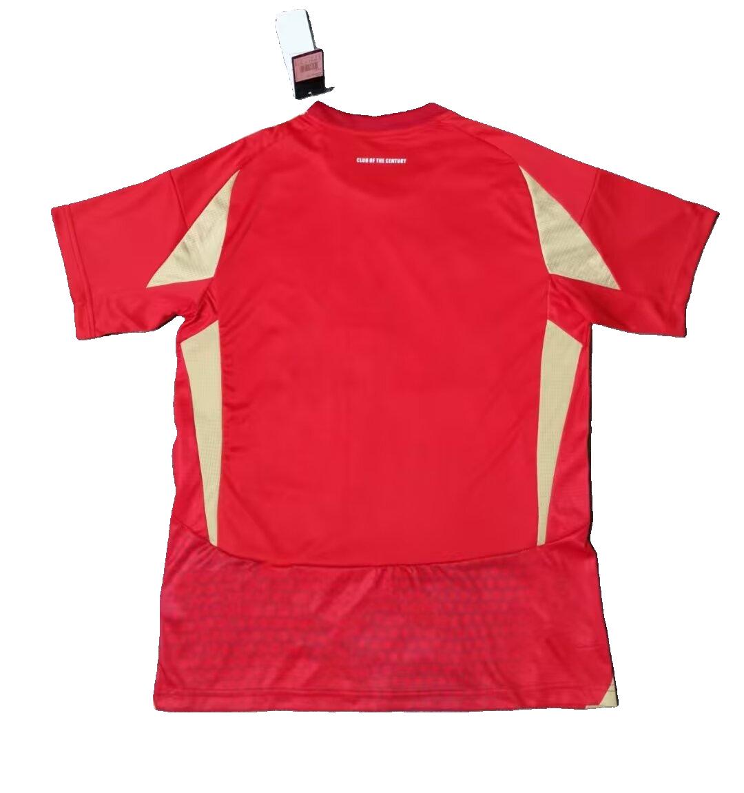 Maillot Domicile Al Ahly 2024-2025