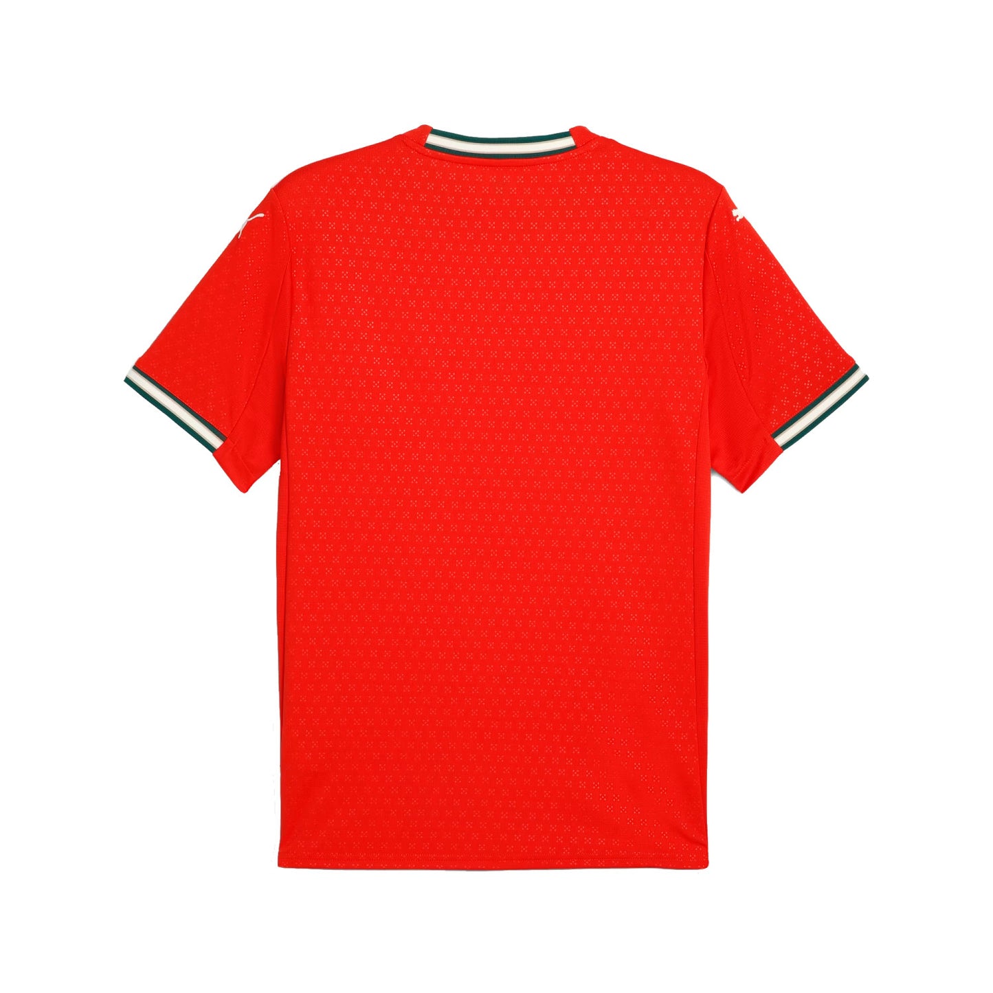 Maillot Domicile Portugal 2025-2026