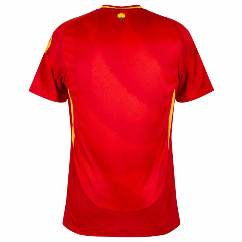 Maillot Domicile Espagne 2024-2025