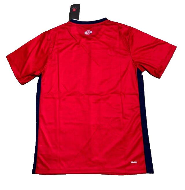 Maillot Domicile Lille 2024-2025