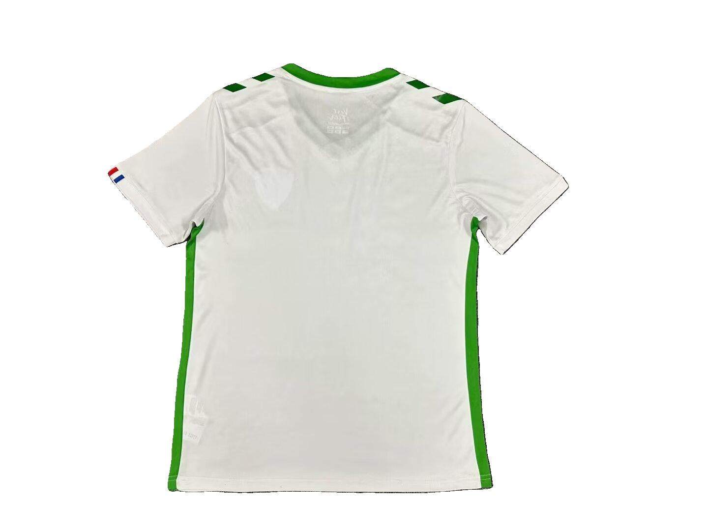 Maillot Extérieur AS Saint-Etienne 2024-2025
