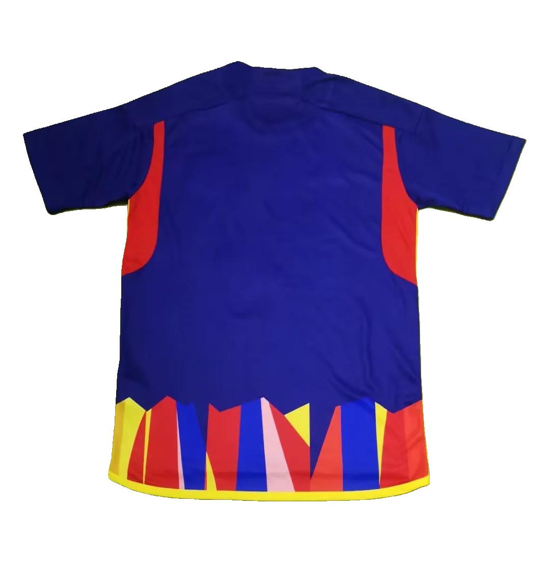 Maillot édition spéciale Lyon 2024-2025
