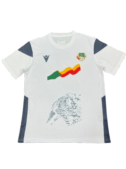 Maillot Extérieur Bénin 2025-2026