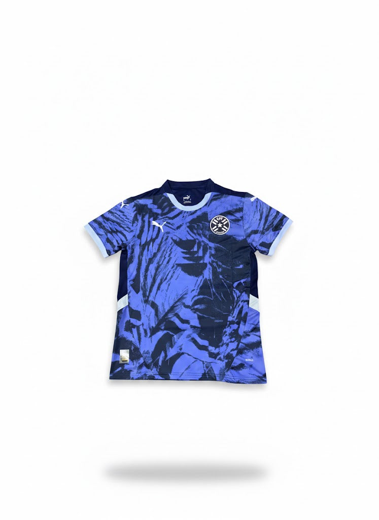 Maillot Extérieur Paraguay 2024-2025 🇵🇾