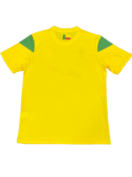 Maillot Domicile Bénin 2025-2026