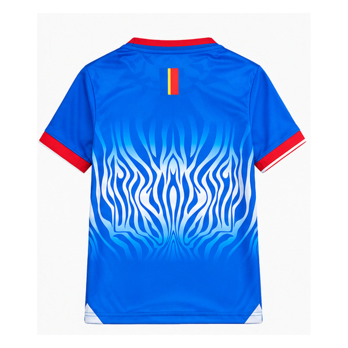 Vue arrière du maillot sur fond blanc