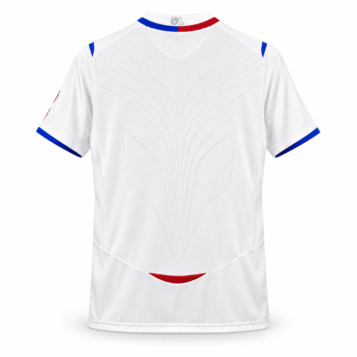 Maillot Olympique Lyonnais rétro 2008-2009 – dos sur fond blanc